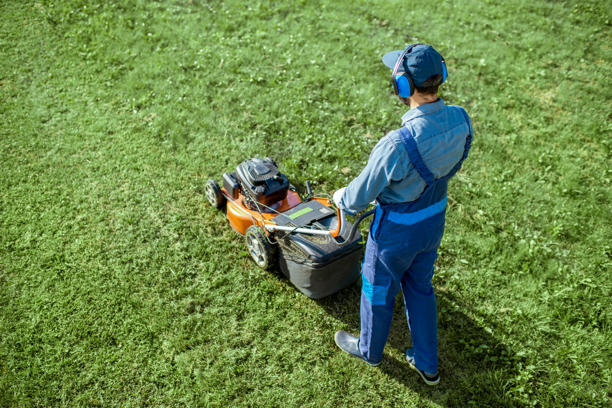 Gardener working with lawn mower on the backyard